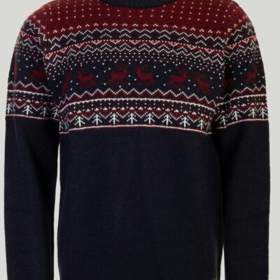 Best Reindeer Yoke Jumper  Jumpers