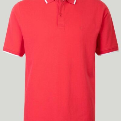 Best Cotton Polo Shirt  Tops