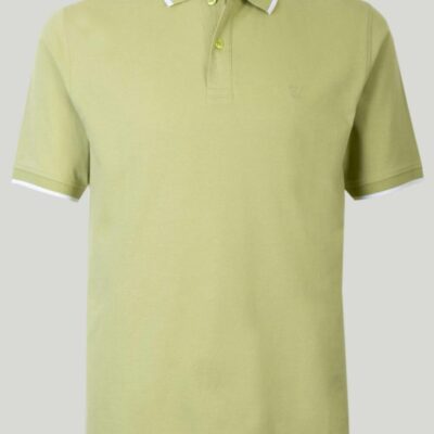 Best Cotton Polo Shirt  Tops