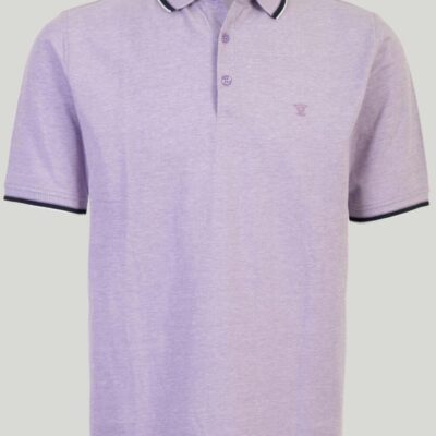 Best Cotton Polo Shirt  Tops