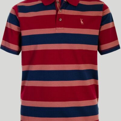 Online Burgundy Stripe Polo Shirt  Tops