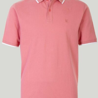 Best Cotton Polo Shirt  Tops