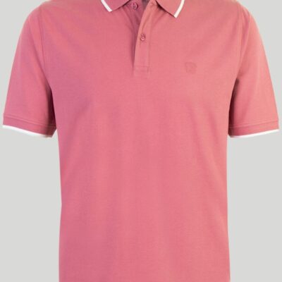 Best Cotton Polo Shirt  Tops